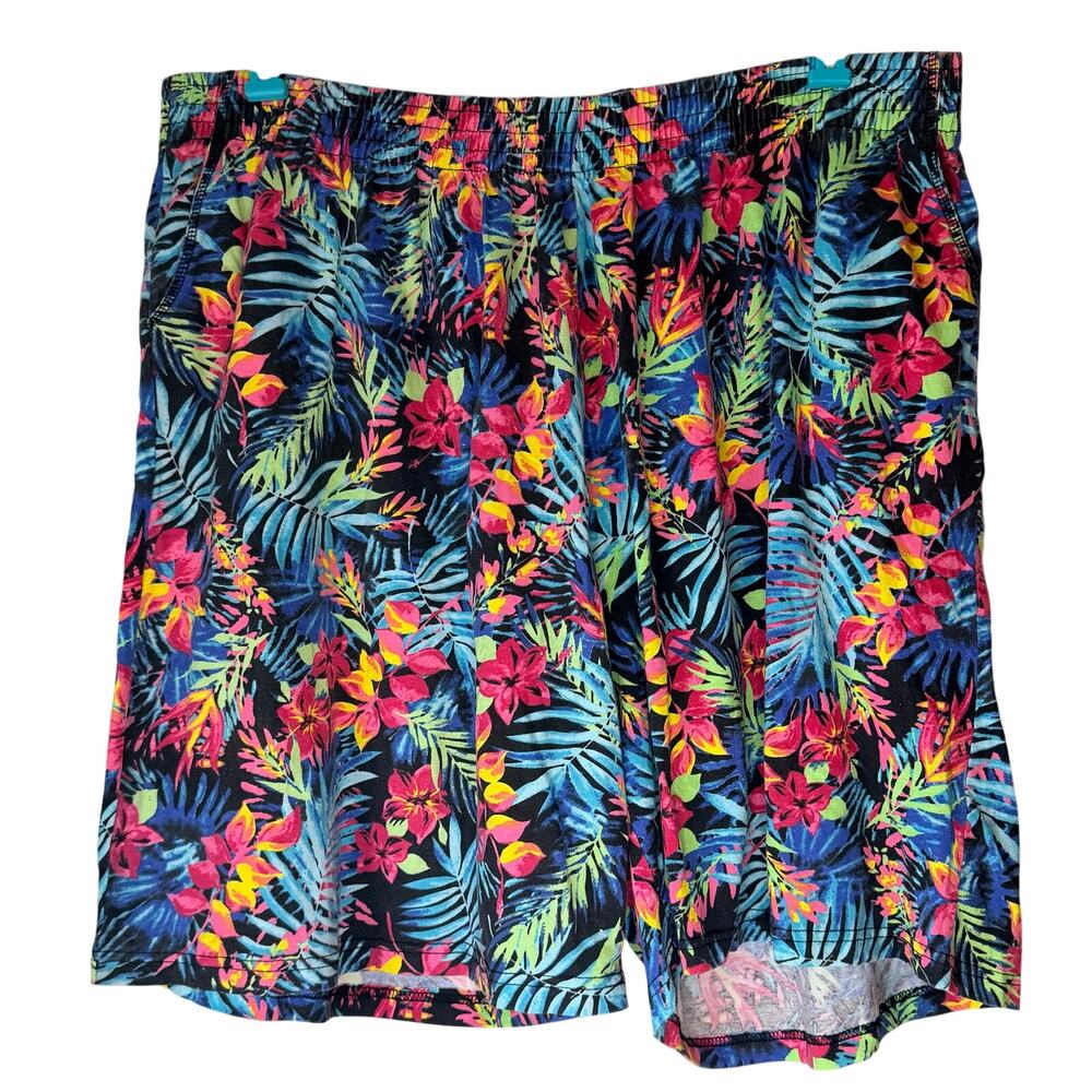 Woman Within Shorts Blue and Pink Multi Colored Print Size 3X (30/32)
